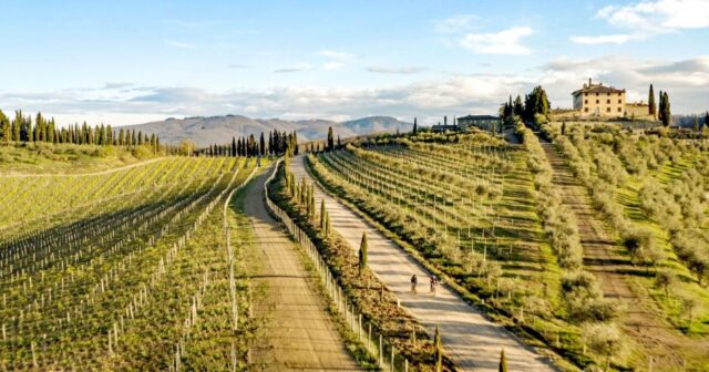 https://kuznia-triathlonu.pl/wp-content/uploads/2025/09/stradebianche2-640x336.jpg